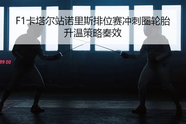 ka-ta-er-zhan-nuo-li-si-pai-wei-sai-chong-ci-quan-lun-tai-sheng-wen-ce-lve-zou-xiao-2-226.jpg